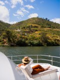 Folgosa Douro river views from boat tour