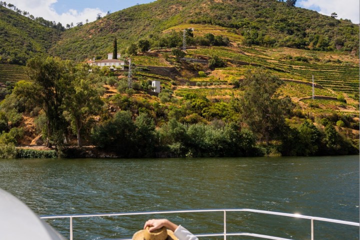 Folgosa Douro river views from boat tour
