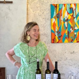 Douro wine tasting with food pairing in traditional winery