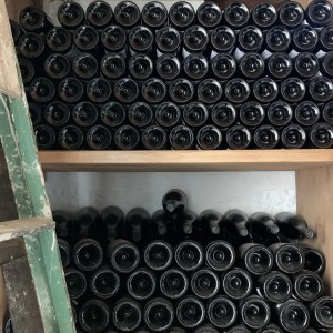 Aged tawny port wine tasting Douro Valley