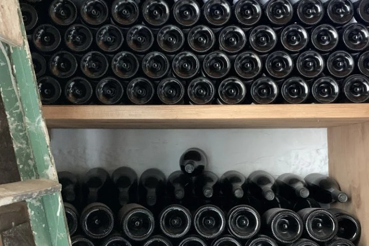 Aged tawny port wine tasting Douro Valley