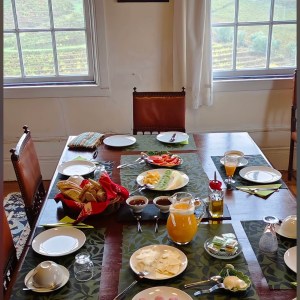 Homemade jams and raisins with port wine tasting