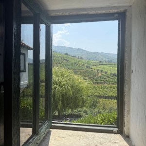 Douro Valley vineyard views winery experience Portugal
