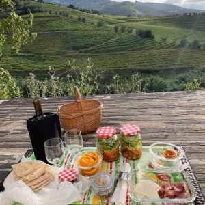 Port wine tasting with cheese and bread Douro Portugal