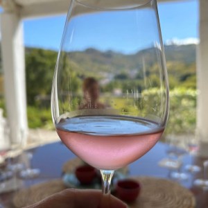 Wine tasting glasses red white and tawny port Douro