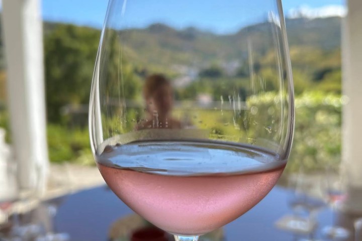Wine tasting glasses red white and tawny port Douro