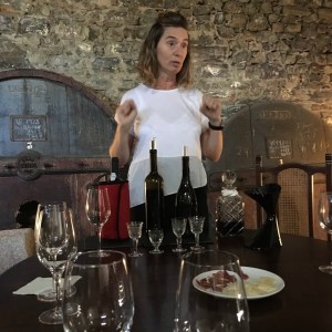 Douro wine tasting with food pairing in traditional winery