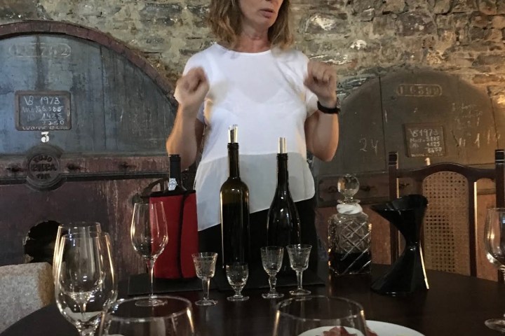 Douro wine tasting with food pairing in traditional winery