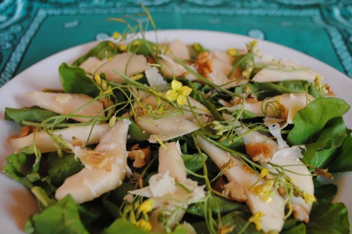 Salad with greens, sliced pears, walnuts, and yellow flowers on a white plate.