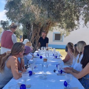Olive oil tasting experience in Évora countryside