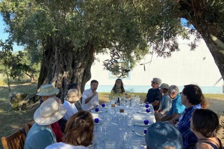 Olive oil tasting experience in Évora countryside