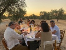 Olive oil tasting experience in Évora countryside