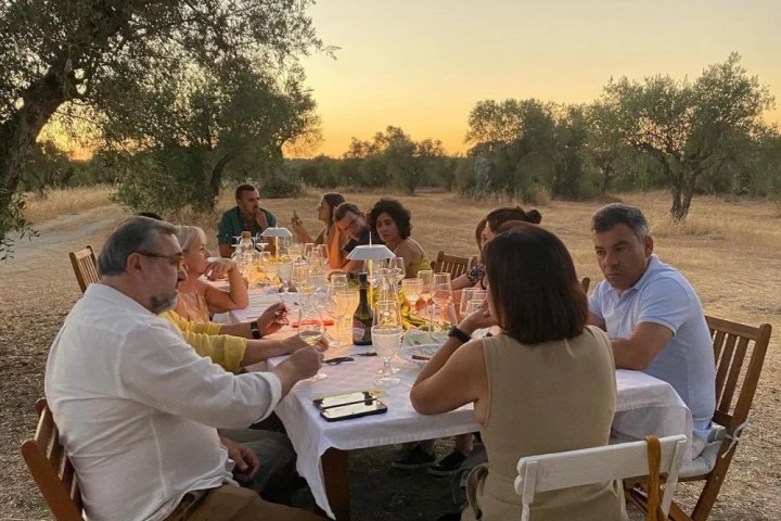 Olive oil tasting experience in Évora countryside