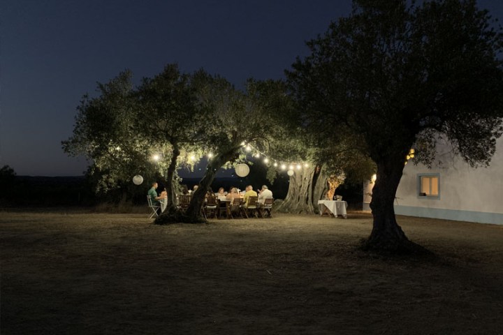 Olive oil tasting table with bread and local products