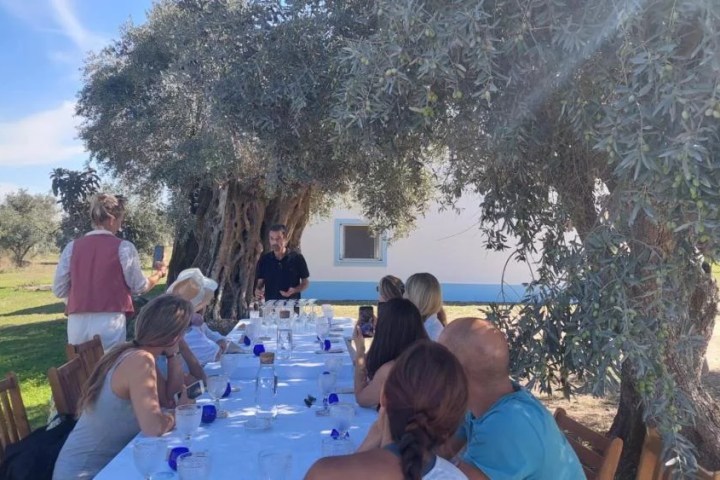 Sunset dinner experience in Évora countryside