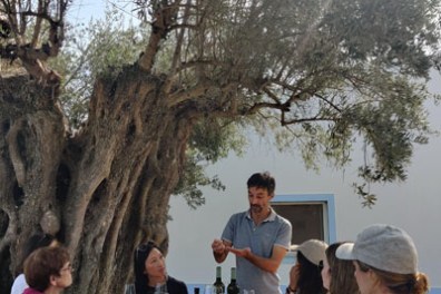Alentejo dinner with wine and local food outdoors