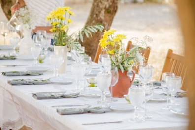 Traditional olive grove in Alentejo near Évora
