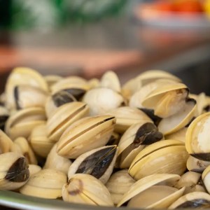 A pile of cooked clams on a plate in a close-up view.