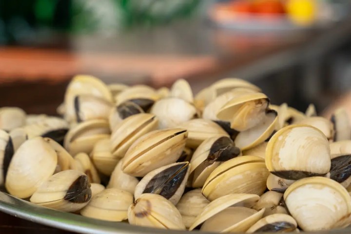 A pile of cooked clams on a plate in a close-up view.