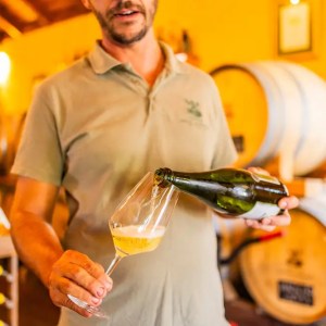 Cider tasting Madeira Camacha local apples