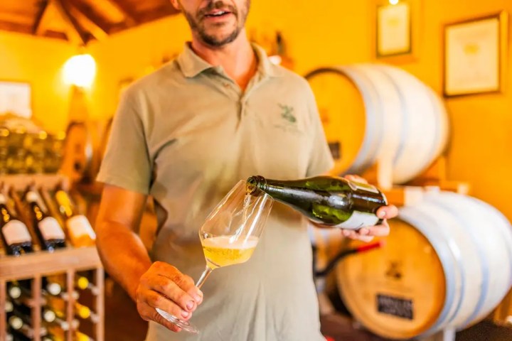 Cider tasting Madeira Camacha local apples