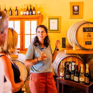 Woman explaining wine in a cellar with barrels and bottles displayed.