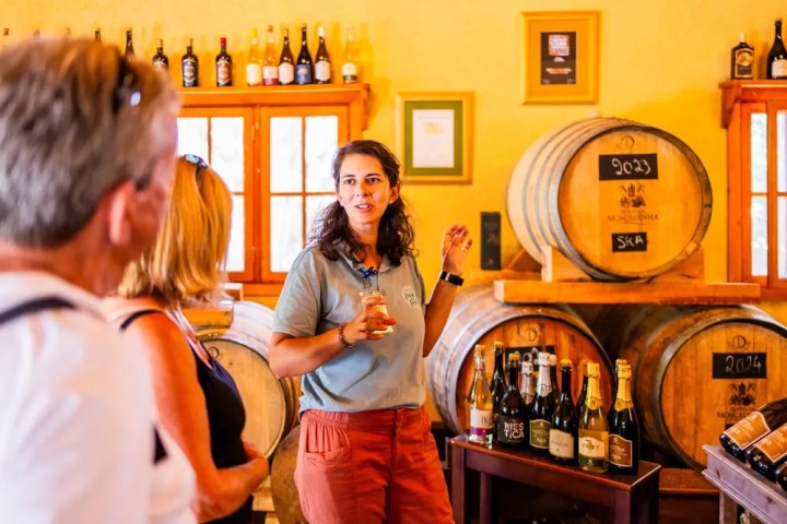 Woman explaining wine in a cellar with barrels and bottles displayed.