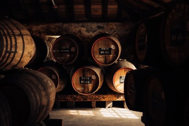 Madeira wine tasting during Funchal walking tour