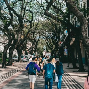 Sunday food walk in Funchal Madeira