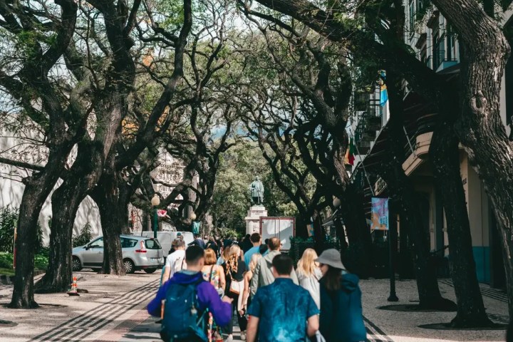 Sunday food walk in Funchal Madeira