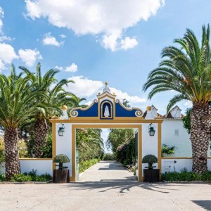 Herdade da Calada vineyard landscape at sunset