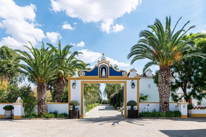 Herdade da Calada vineyard landscape at sunset