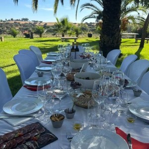 Sunset wine picnic in Évora vineyards Alentejo