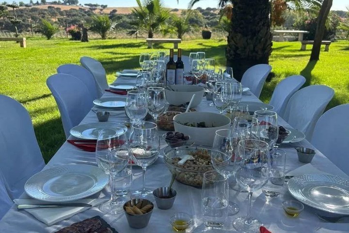 Sunset wine picnic in Évora vineyards Alentejo