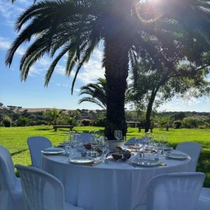 Wine tasting experience in Évora countryside vineyard