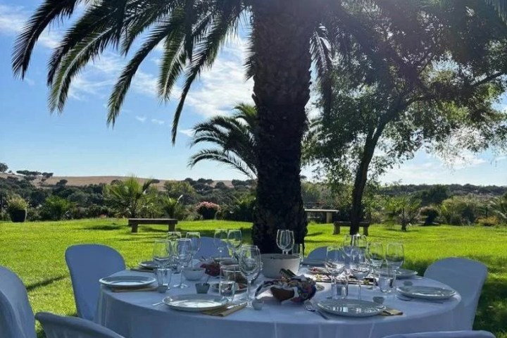 Wine tasting experience in Évora countryside vineyard