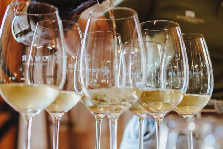 Wine tasting in cellar in Tomar