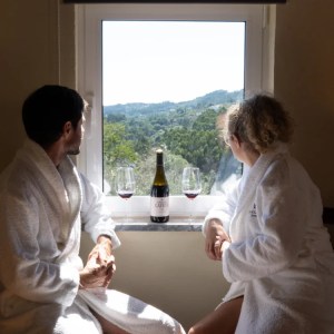 Wine tasting and vinotherapy experience in Tomar