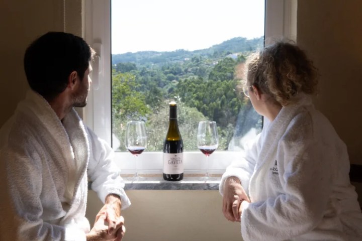 Wine tasting and vinotherapy experience in Tomar