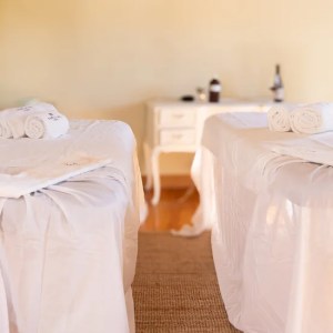 Wine tasting and vinotherapy experience in Tomar