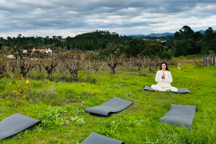 Yoga session in vineyards in Tomar Portugal