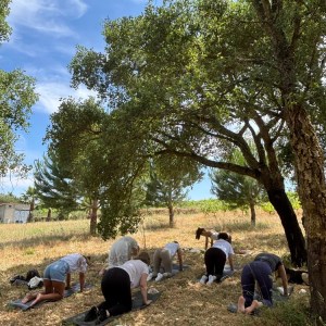 Meditation and wine tasting experience Tomar region