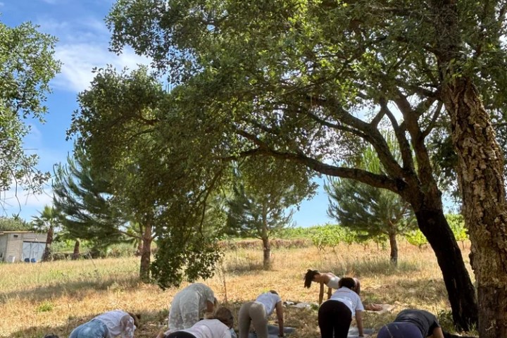 Meditation and wine tasting experience Tomar region