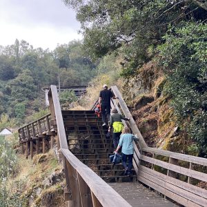 Corgo Walkways wooden trail waterfall Portugal