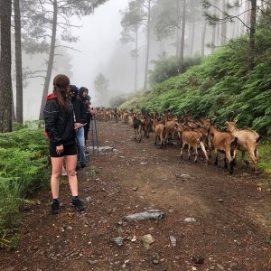 Guided hiking experience Alvão Natural Park Portugal