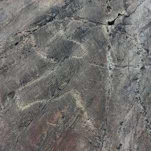 Prehistoric rock art engraving of a horse on schist stone in the Côa Valley, Portugal