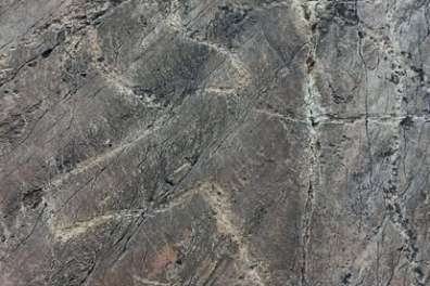 Prehistoric rock art engraving of a horse on schist stone in the Côa Valley, Portugal