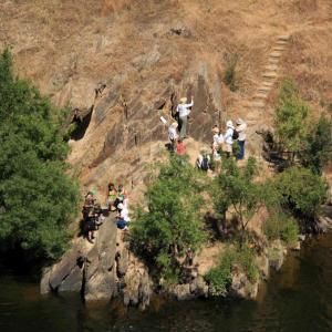 Group of people standing on rocky riverbank with trees nearby.