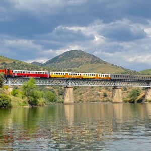 Douro Valley train travelling along the river through terraced vineyards between Pinhão and Pocinho