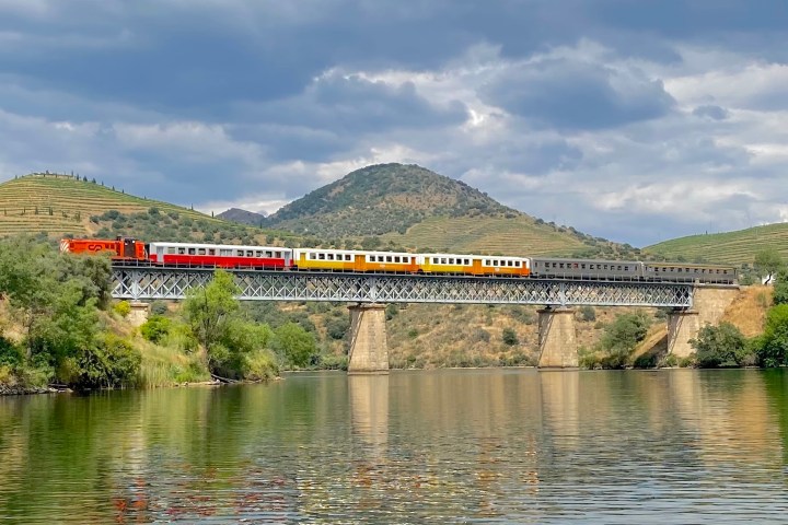 Douro Valley train travelling along the river through terraced vineyards between Pinhão and Pocinho